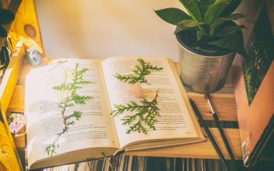 Benefits of Self-Publishing